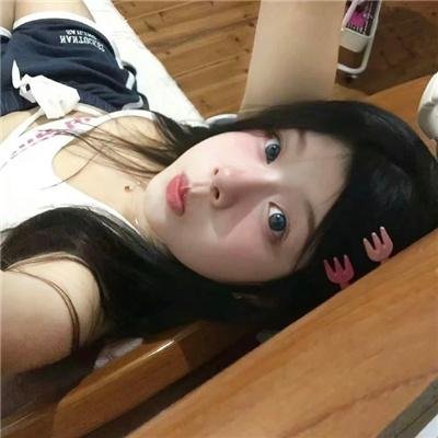 汪星人的奇思妙想