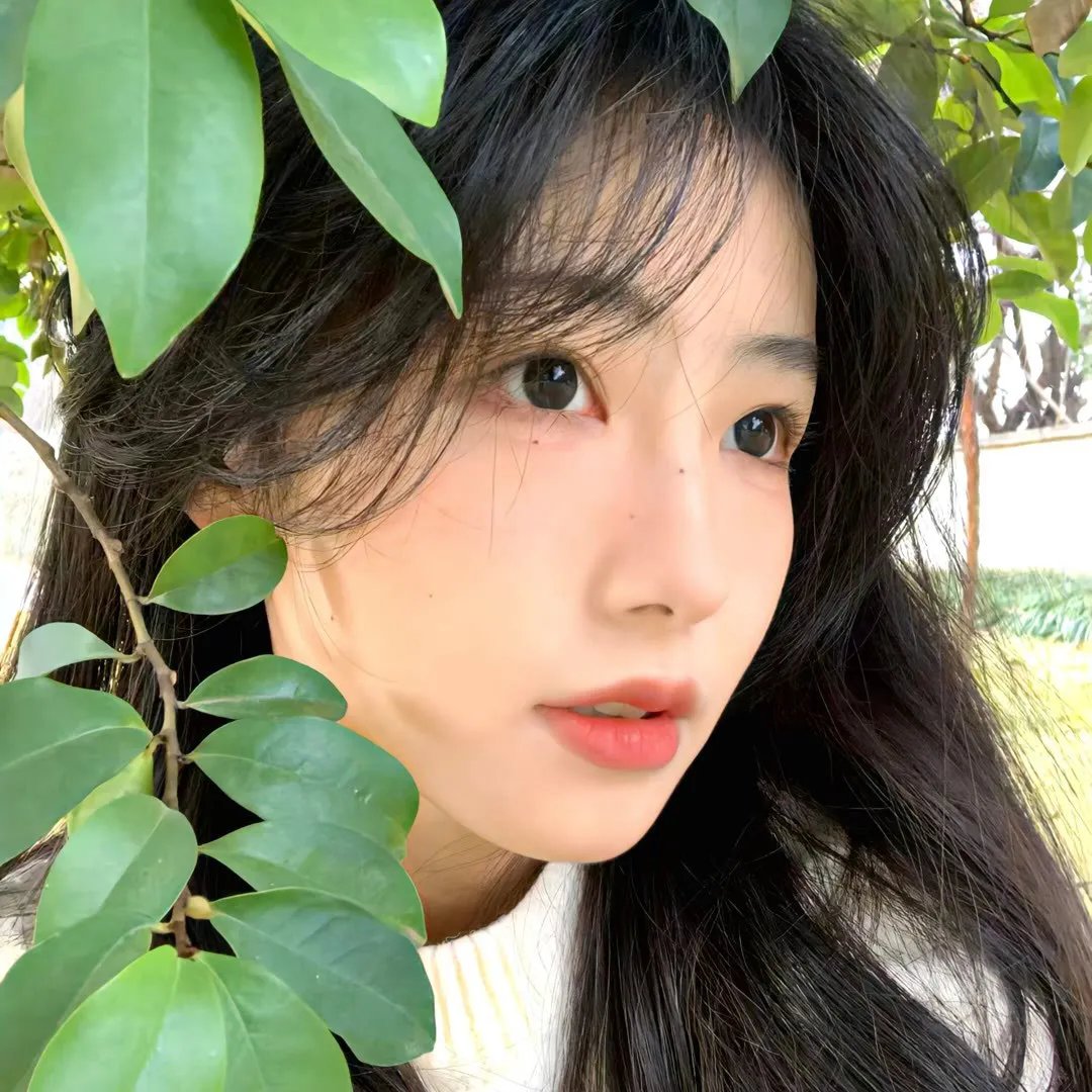 医生车智淑