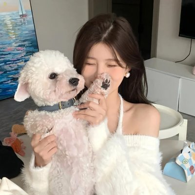 麒麟之翼